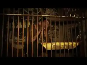 Video: Dubb - Golden Child
